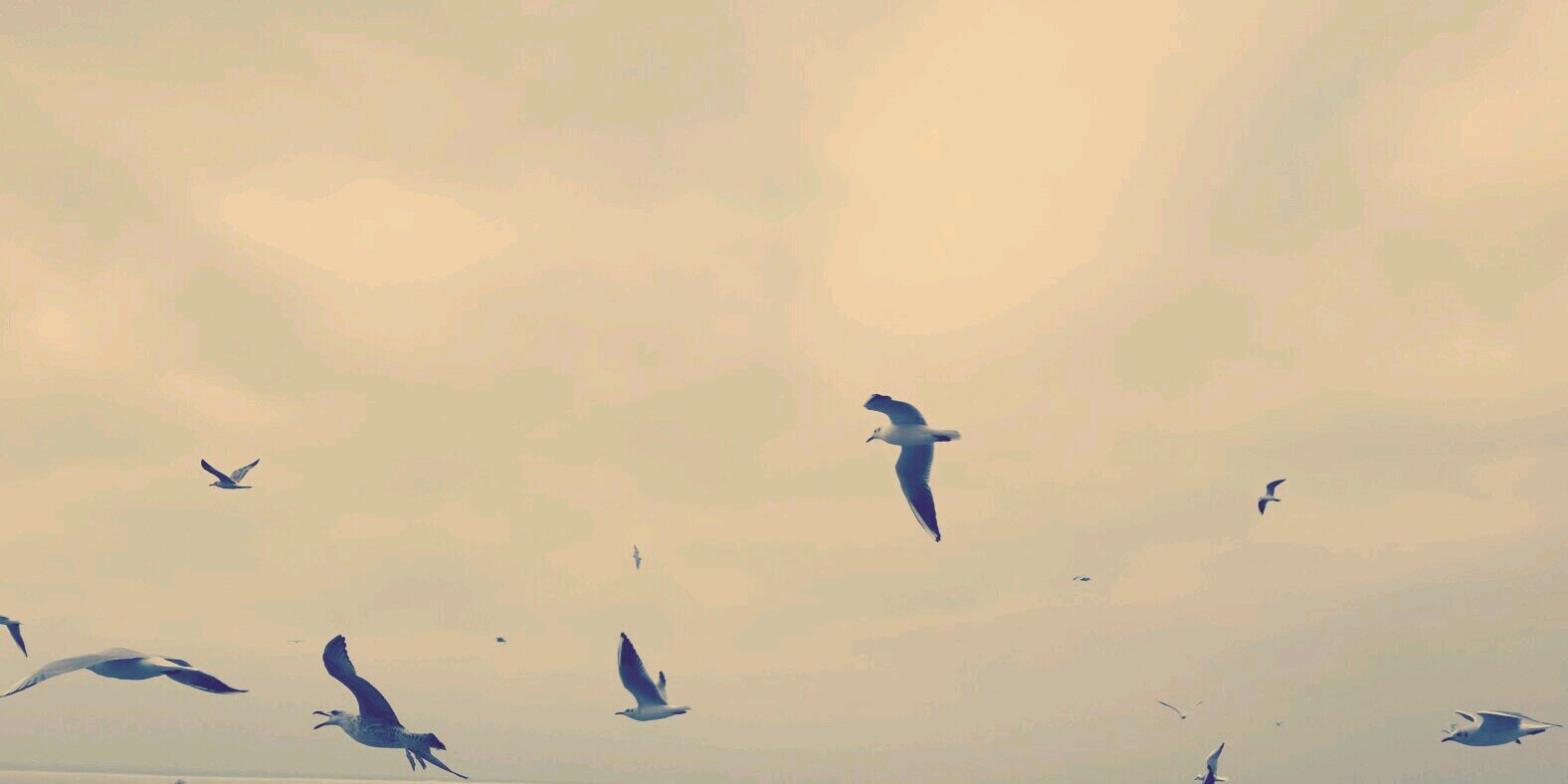 SumruTATAR's profile banner image