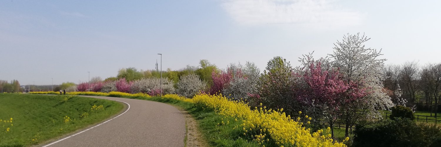 Apfrida Kendek banner