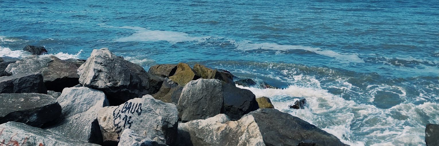 sofiferrari29's profile banner image