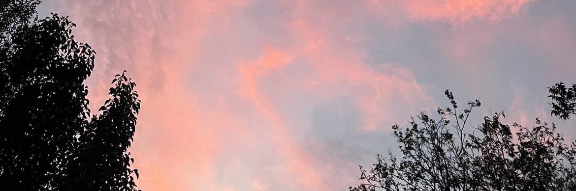 melisa_ballin's profile banner image
