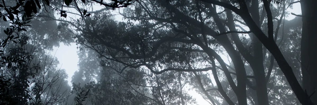 rwolver's profile banner image
