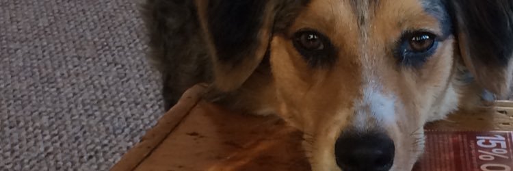 Dfranken32's profile banner image