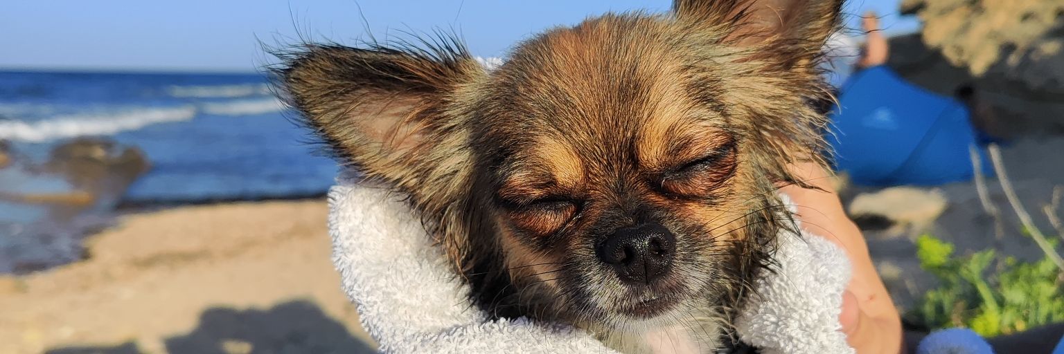 azuldaily's profile banner image