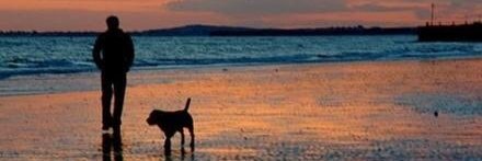 rostarpets's profile banner image