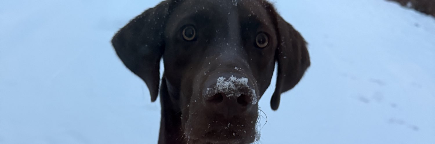 chatoyah49's profile banner image