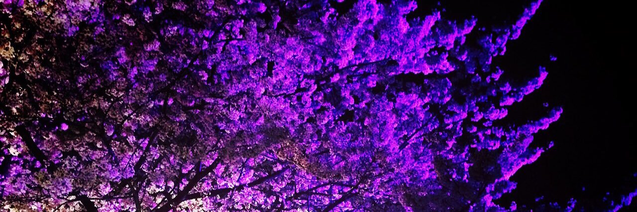 DMdm4415's profile banner image