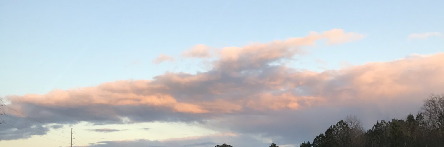 lianne92's profile banner image