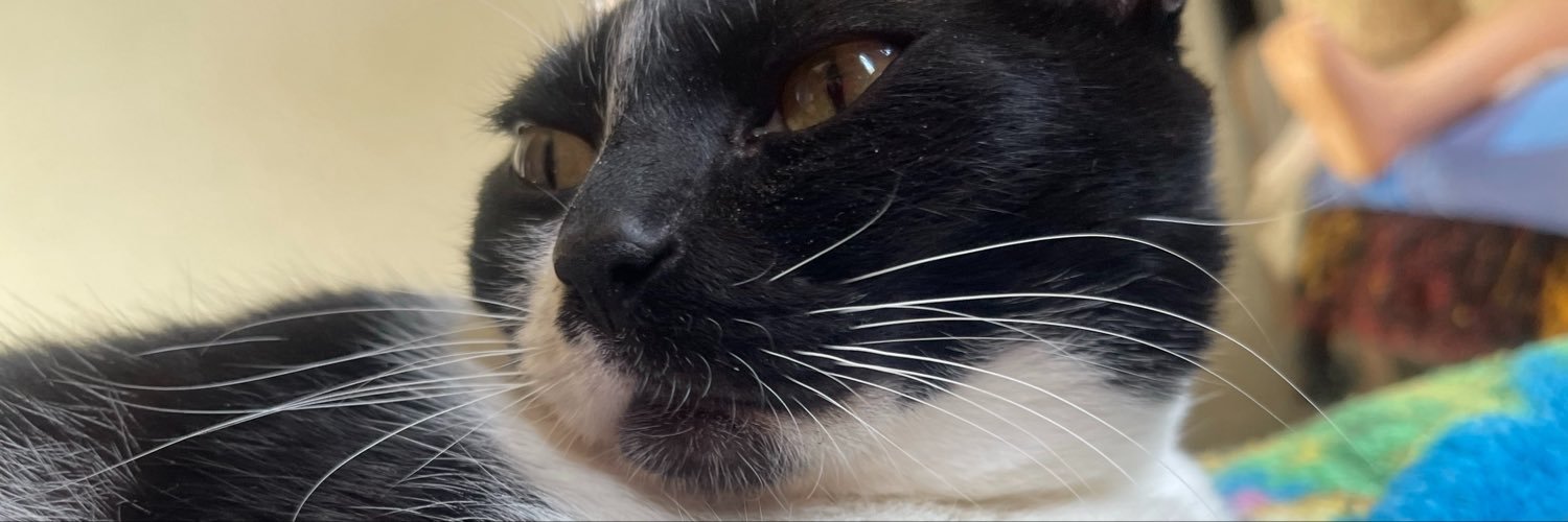 Danielicastroli's profile banner image