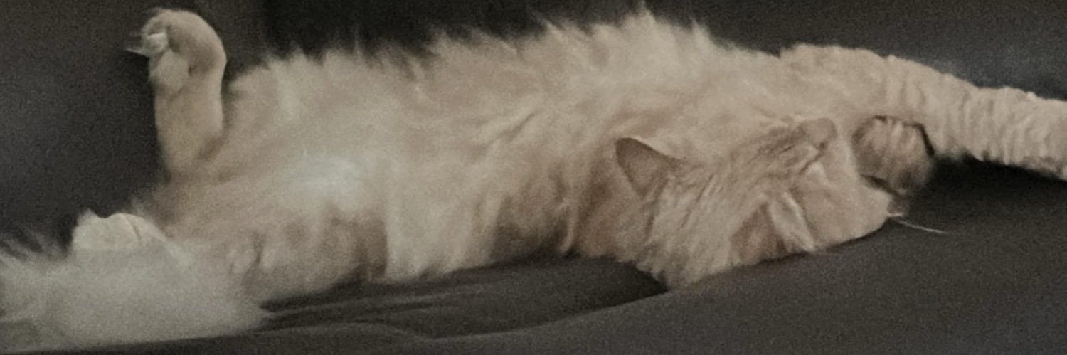 N0N8SN's profile banner image