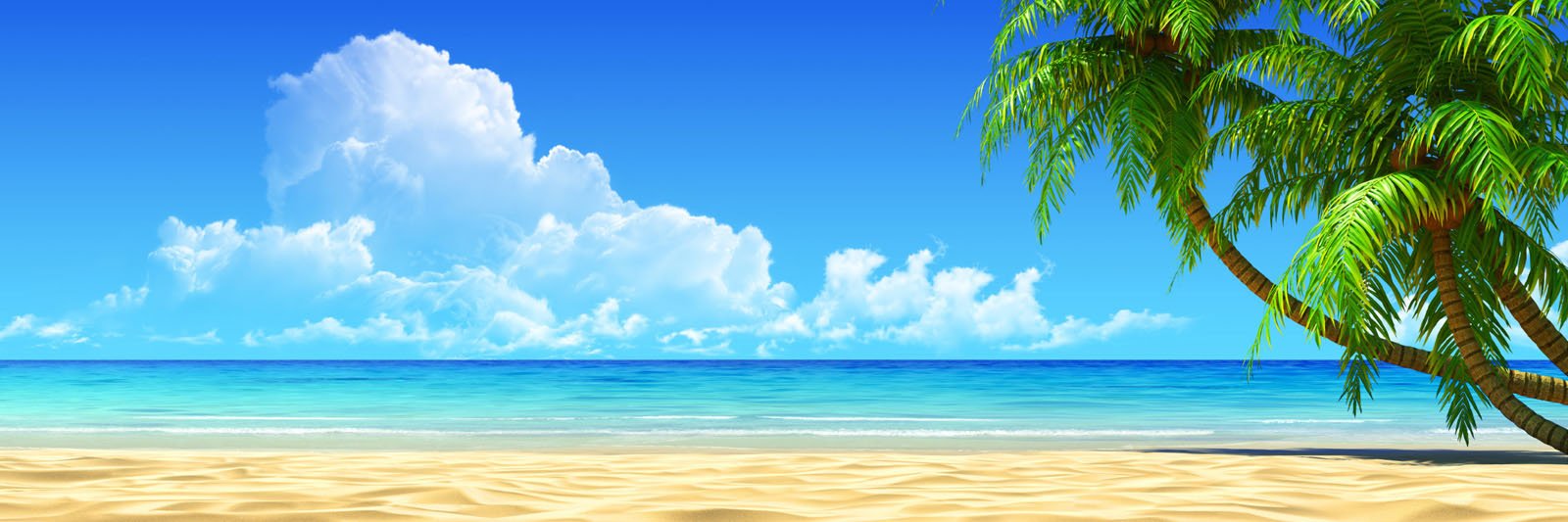 ReAcTioHNz's profile banner image