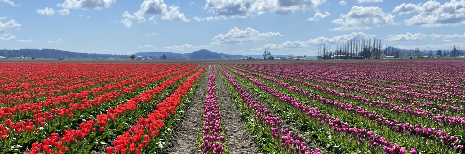 Samuel Assefa banner