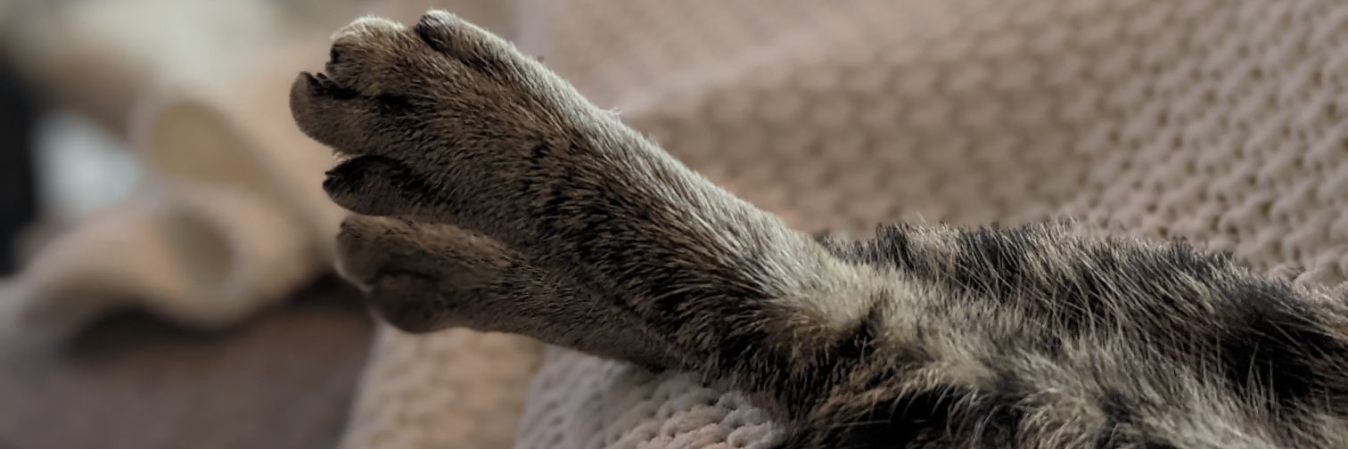 BelenedictXVI's profile banner image