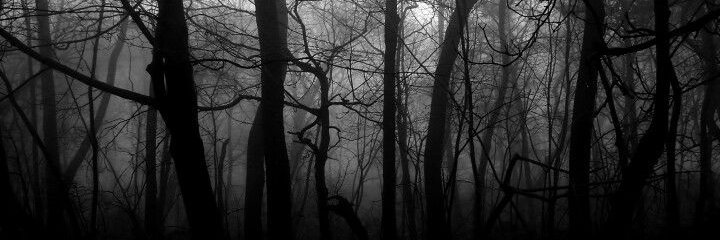 🌑Sinister Desires🌑 banner