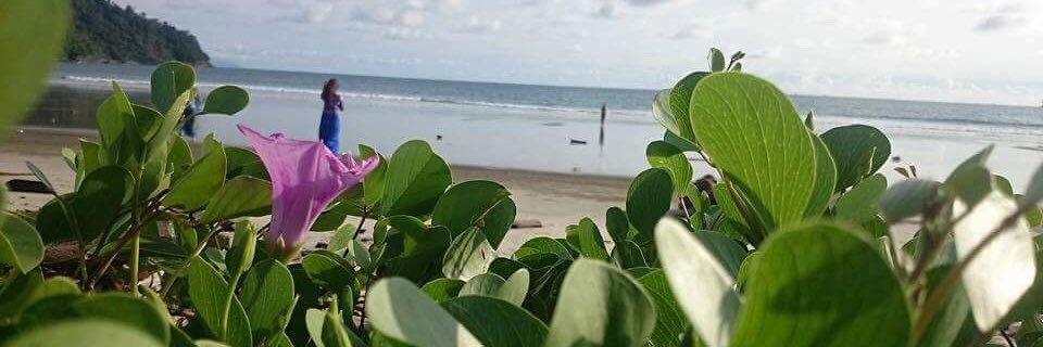 poed_pd's profile banner image