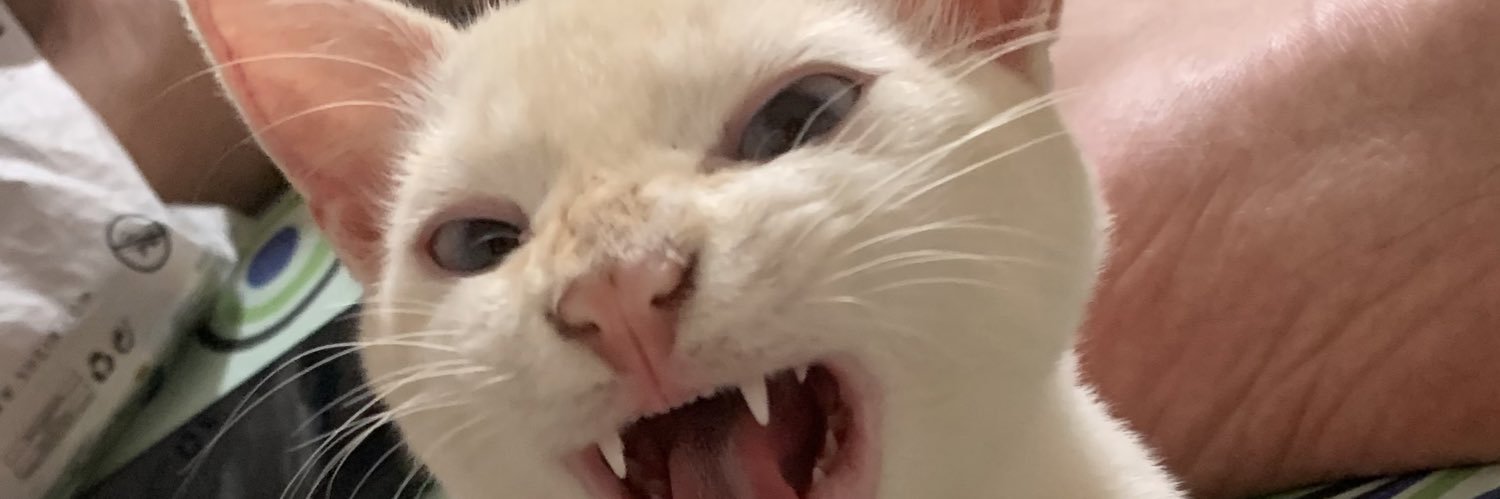 PauloES's profile banner image