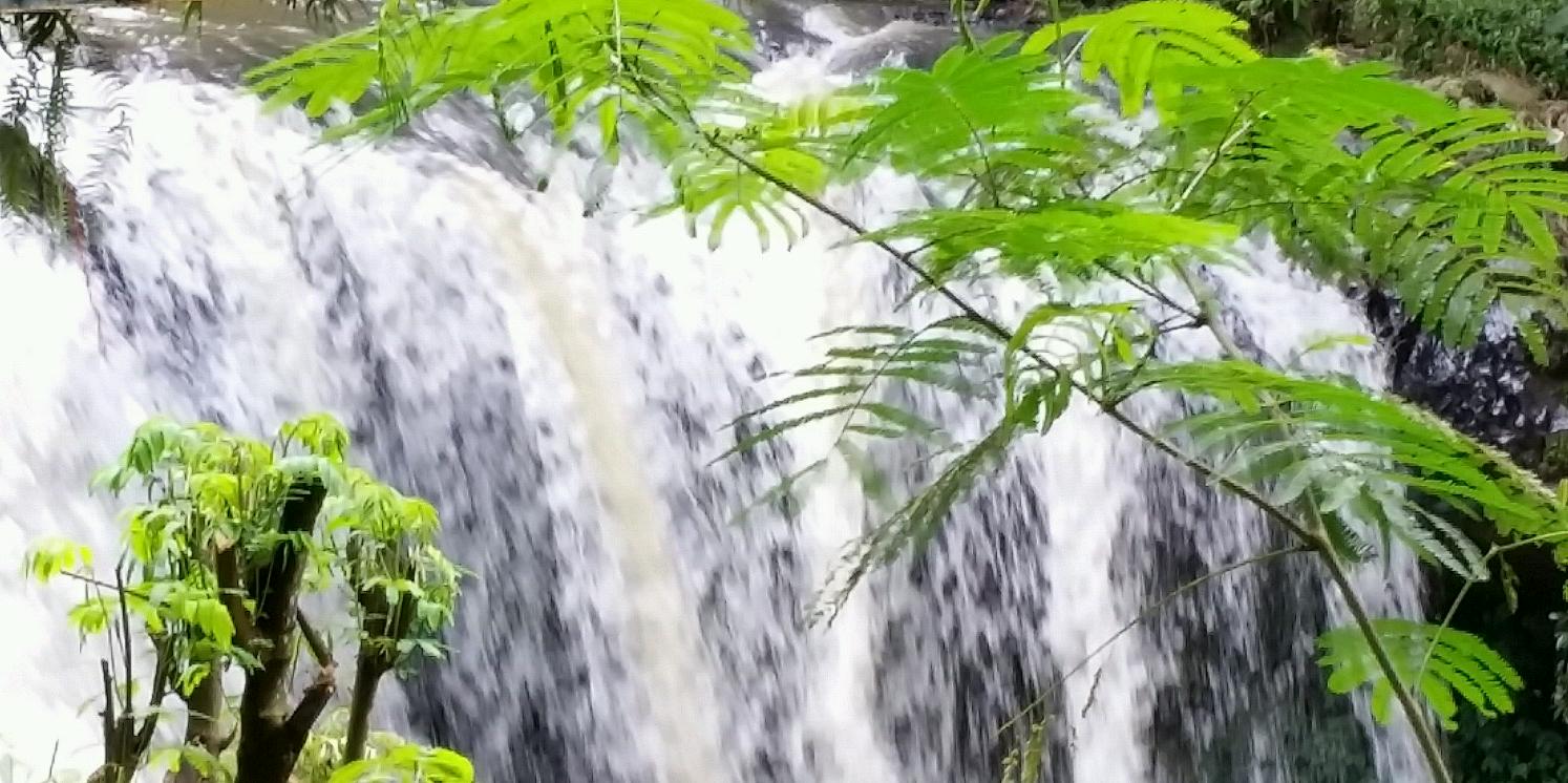 أبوفيصل banner