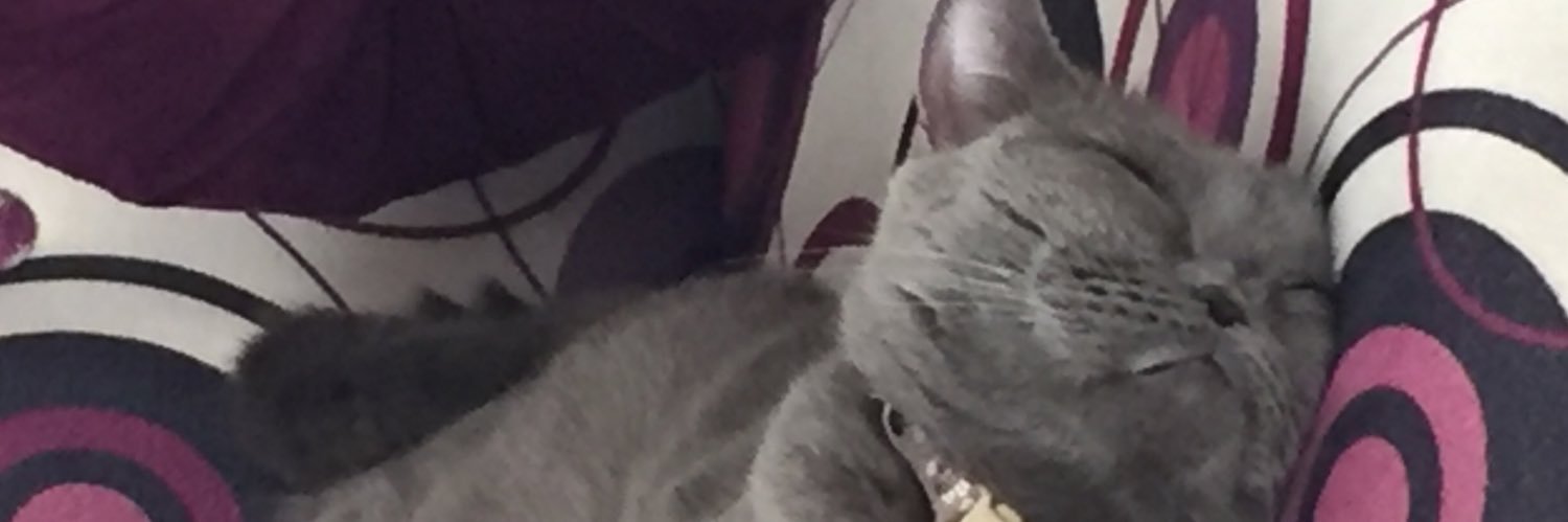 ynsfurkan's profile banner image