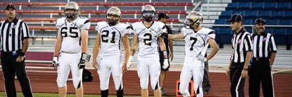 Michael Green™ banner