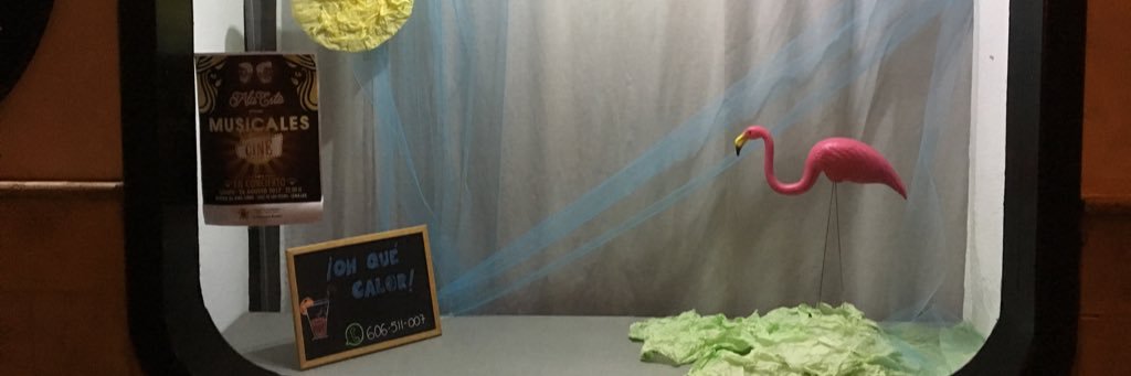 SallyWhoosh's profile banner image