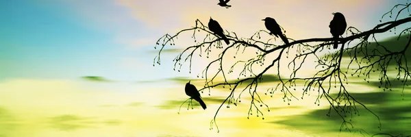 Curated_t2's profile banner image