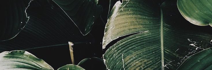 TimaBOOM's profile banner image