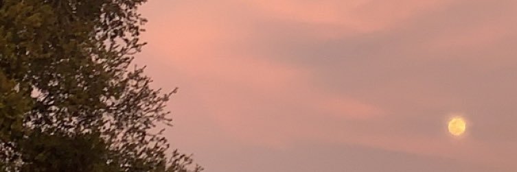 kaydubbin616's profile banner image