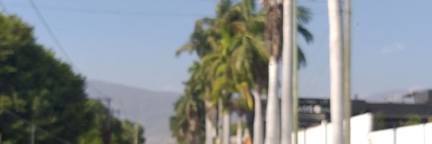 LERL28's profile banner image