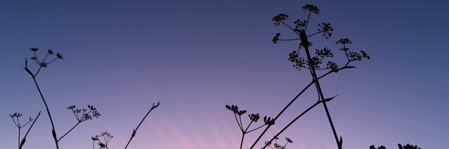LorenaCabello9's profile banner image