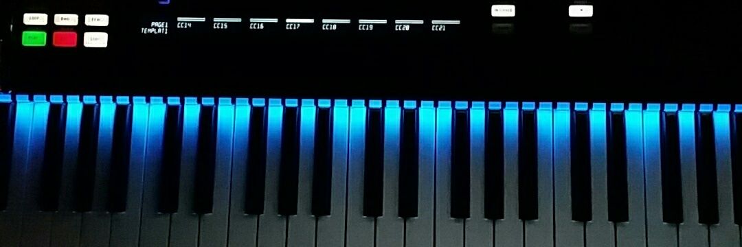 DuarteThomas's profile banner image