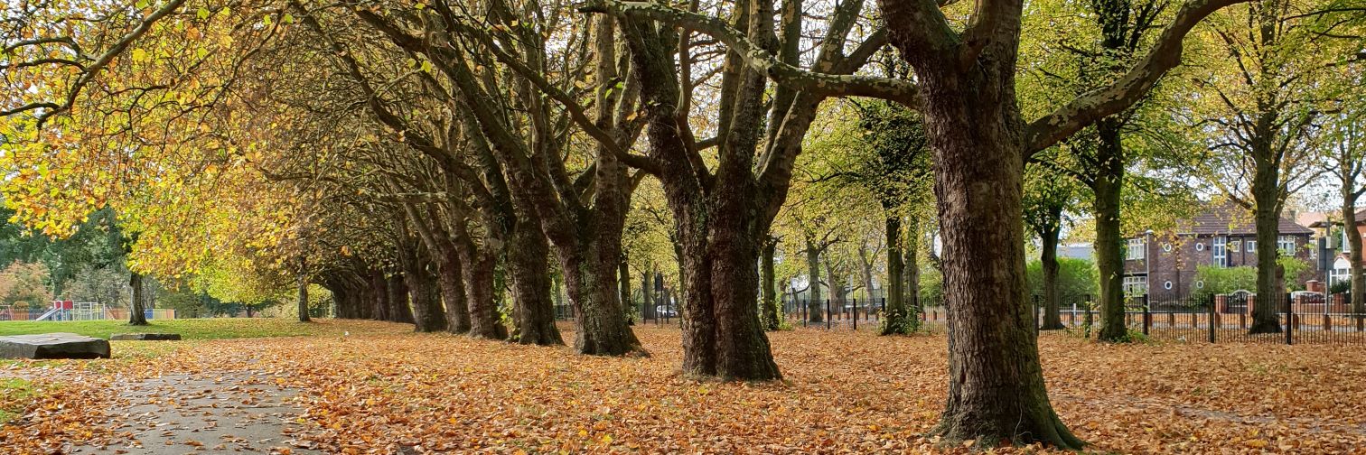Jen O'Brien (she/her) 🌍 banner