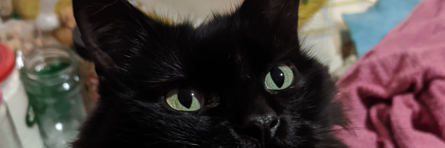 FirexPedro's profile banner image