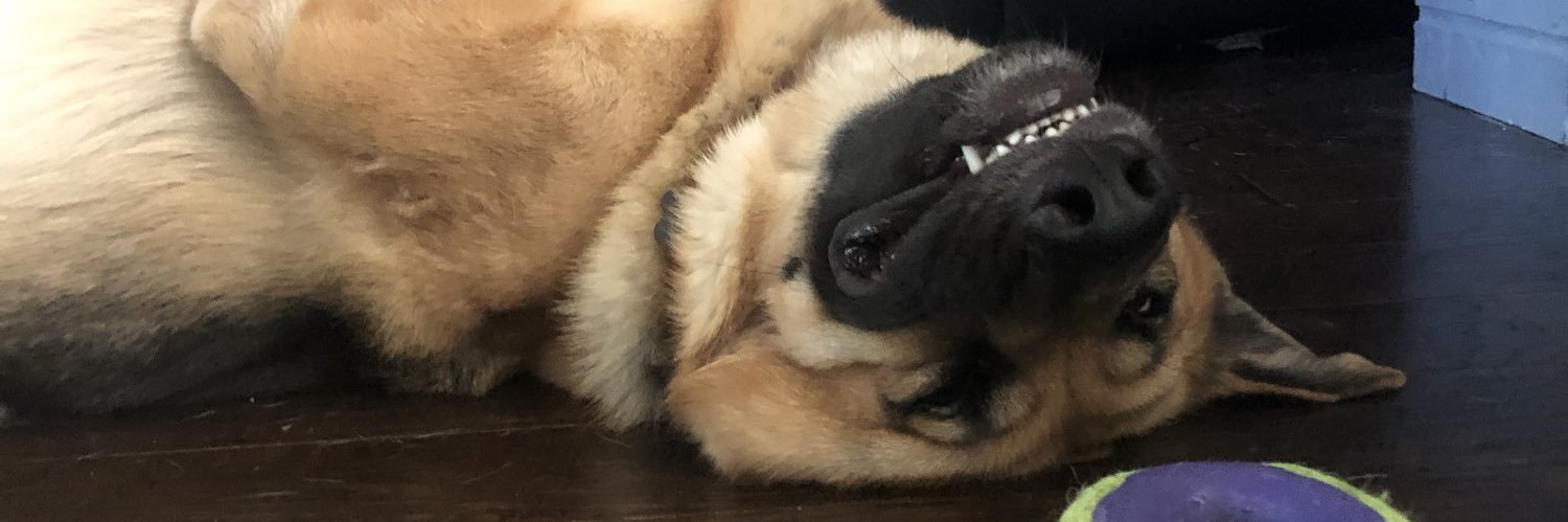 MycahButler's profile banner image
