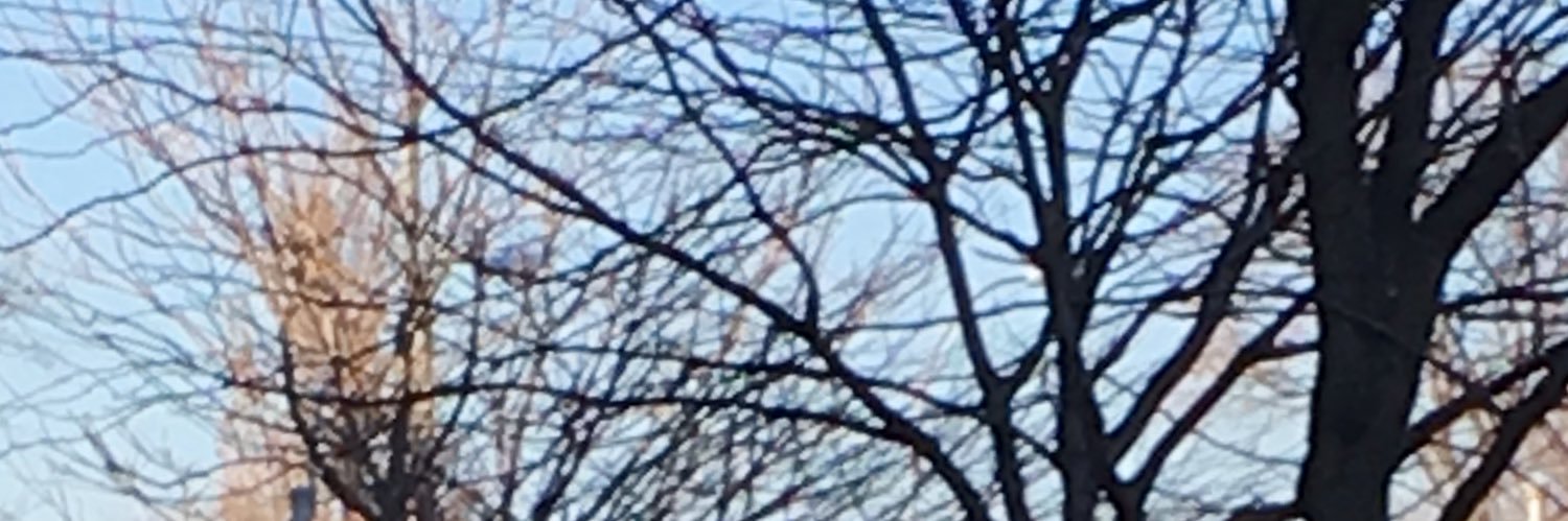L_BLAZEE's profile banner image