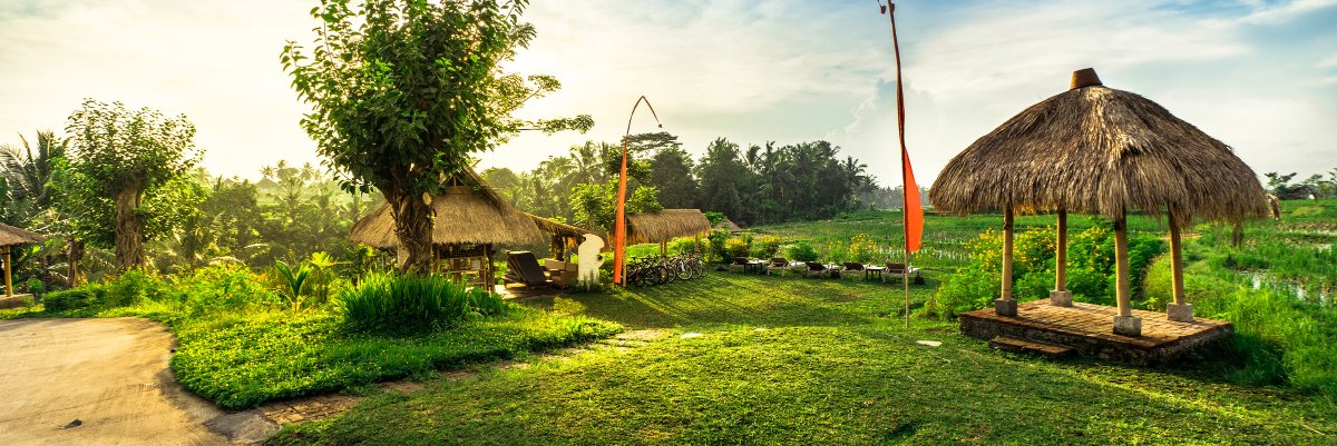 desavisesa's profile banner image