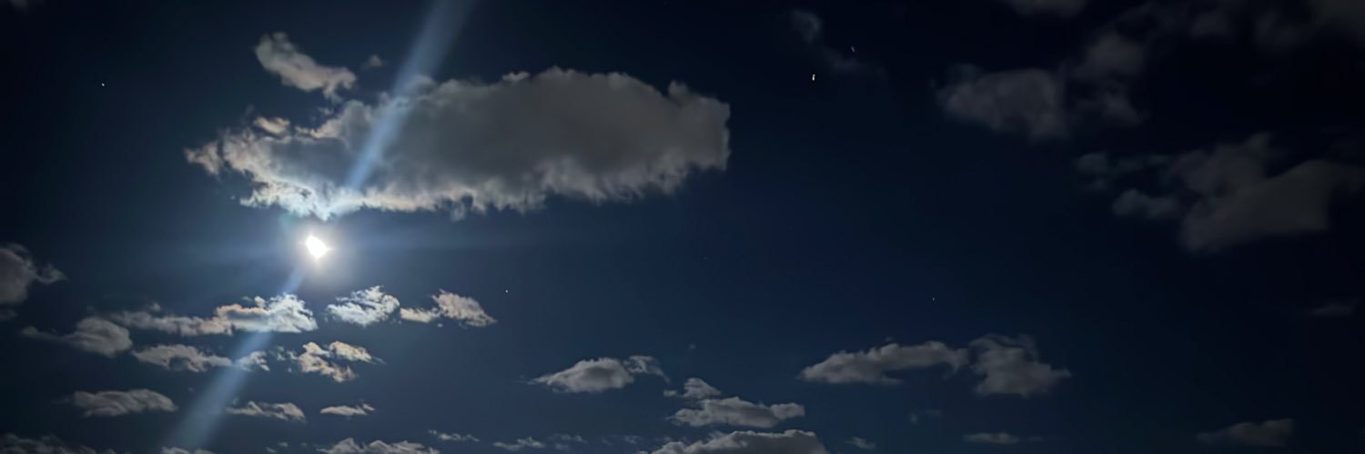 _n0bo's profile banner image