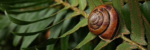 SlowFoodSeattle Profile Banner