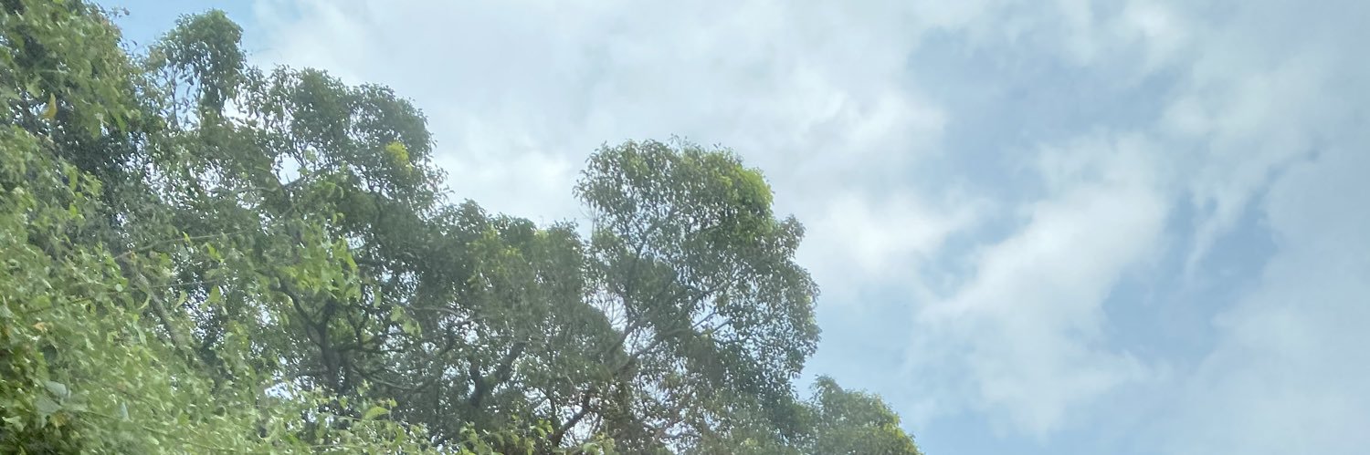 rgvinoth's profile banner image