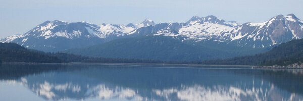 markalta Profile Banner