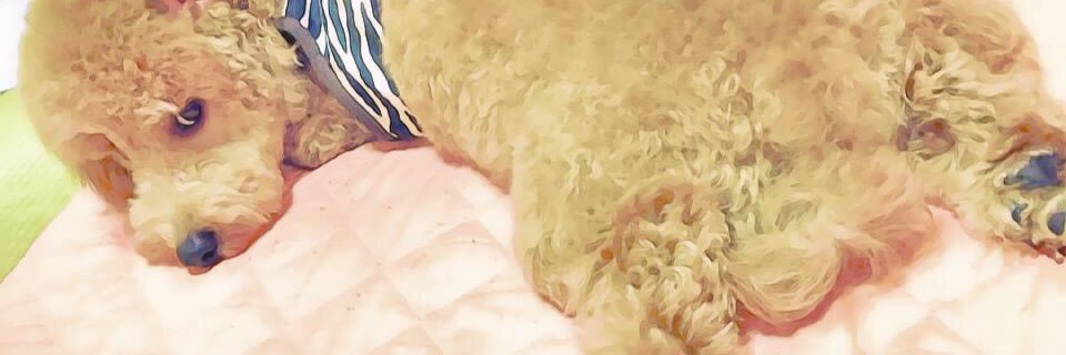 sss08163's profile banner image