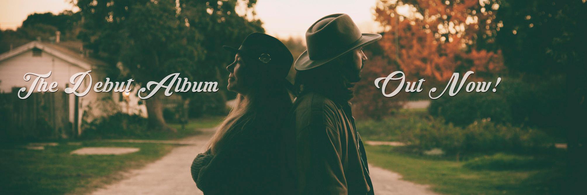 WildIrisMusic's profile banner image