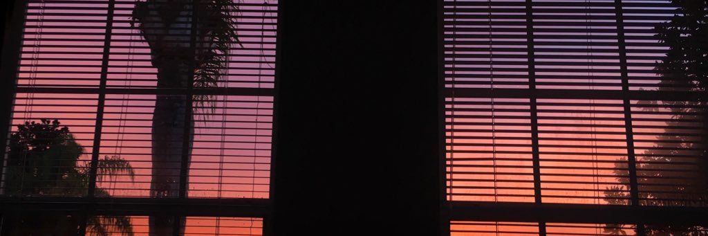 s p banner