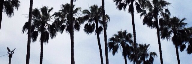 mrveakbss's profile banner image