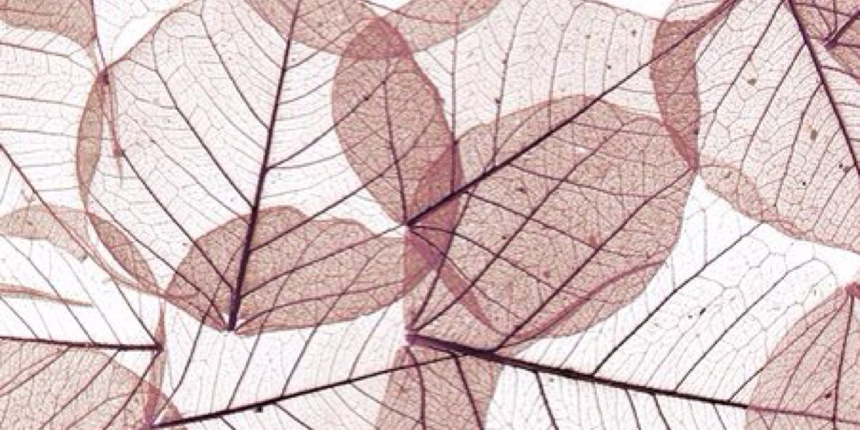 linkabester's profile banner image