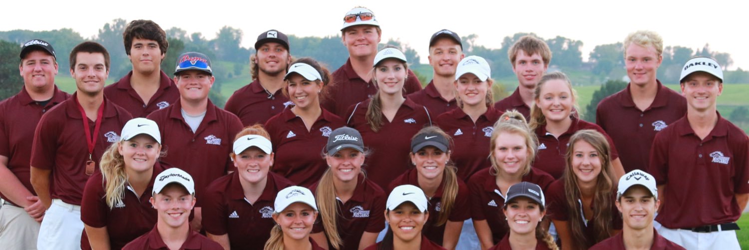 Morningside Golf banner