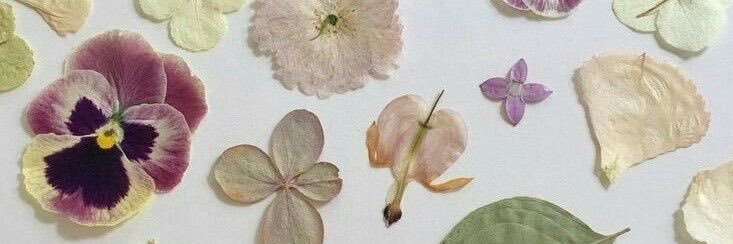 Mariel Lozada's banner