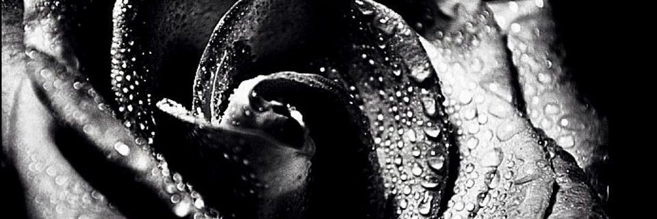 GriffithsKL's profile banner image