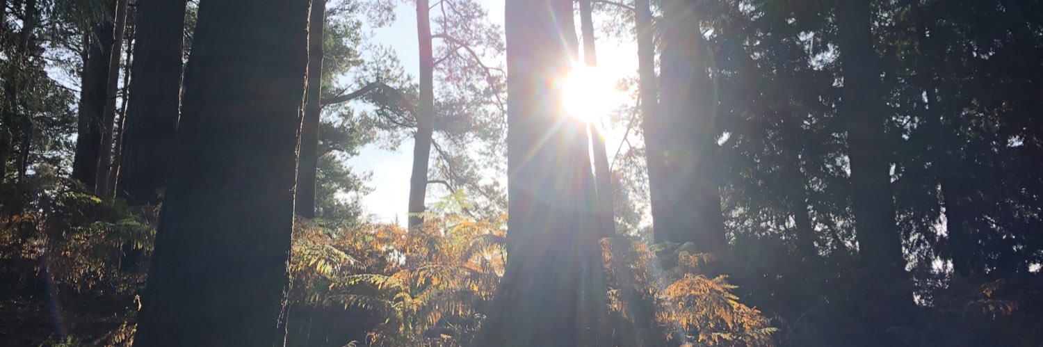 RhysThomasss's profile banner image