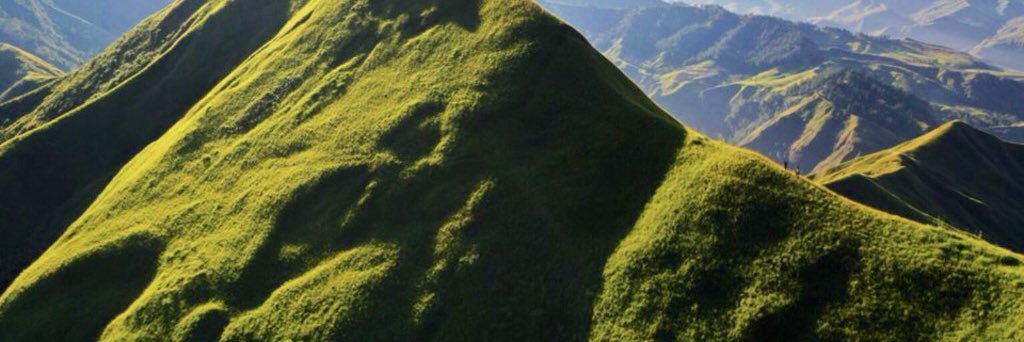 Pecheminada's profile banner image