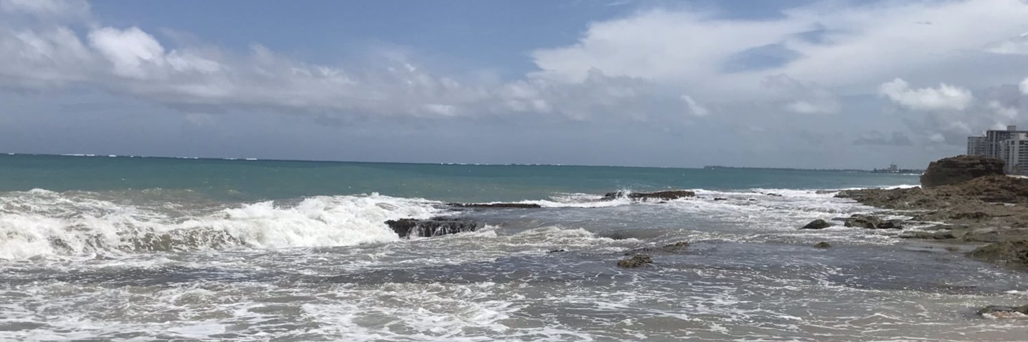 cocosadiemom's profile banner image
