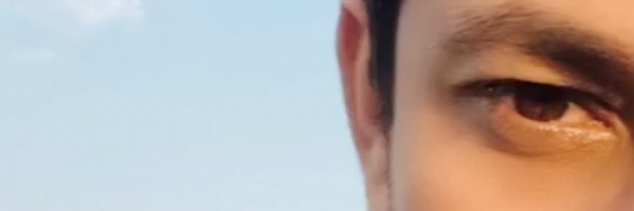 branny_bot's profile banner image
